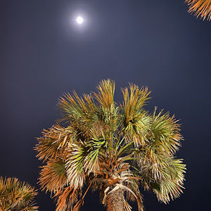 Meet your Posher, Zac